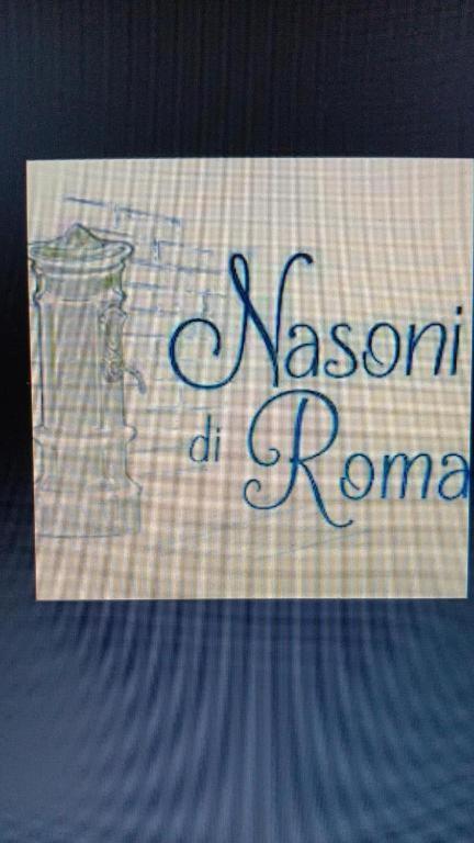 Nasoni Di Roma 아파트 호텔 외부 사진