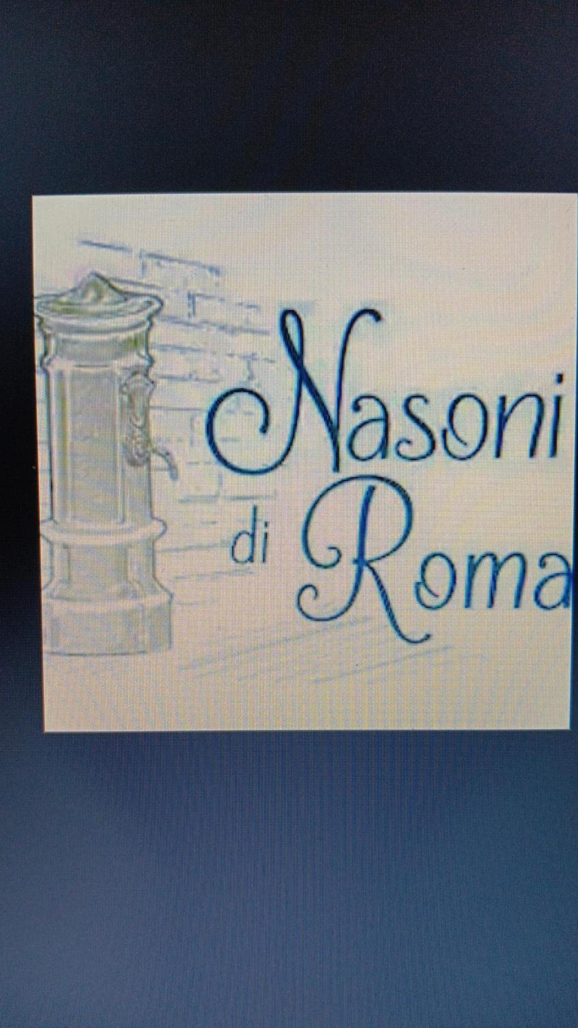 Nasoni Di Roma 아파트 호텔 외부 사진
